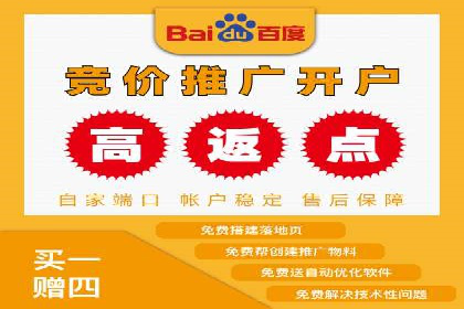 短视频信息流广告投放策略与案例分析